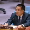 越南常驻联合国代表团副团长阮海刘公使。图自越通社