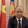 越南驻法大使丁全胜。图自越通社