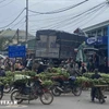 17日7时50分，广治省老保乡新龙市场附近发生一起特别严重的交通事故。图自越通社
