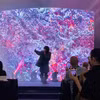 闭幕式上的艺术表演。图自越通社