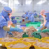 出口查鱼的加工活动。图自越通社