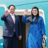 越南政府总理范明政偕夫人黎氏碧珍和越南高级代表团离开首都河内,前往巴西出席2025年金砖国家领导人扩大会议并开展双边活动。图自越通社