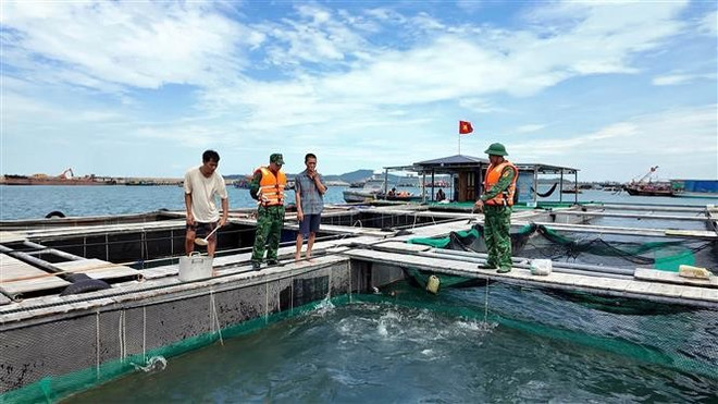 广宁省疏散不安全地区的渔民。图自越通社 vna-potal-vung-ven-bien-quang-ninh-chu-dong-phong-chong-bao-so-11-8318256.jpg