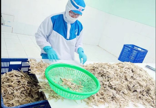 未来几年,水产副产物将为多个产业提供巨大原料来源。图自越通社 1.jpg
