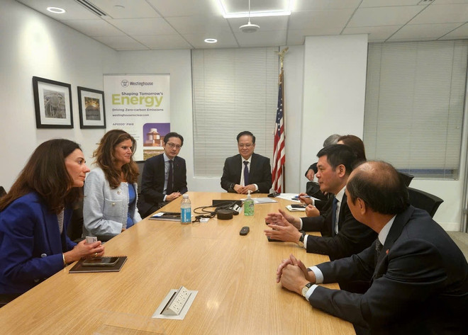 工贸部部长阮鸿延会见了全球领先的核能技术企业——西屋电气集团领导人。图自越通社 tap-doan.jpg