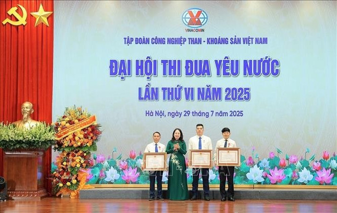 武氏映春向优秀个人授予三等劳动勋章。图自越通社 vo-thi-anh-xuan.jpg