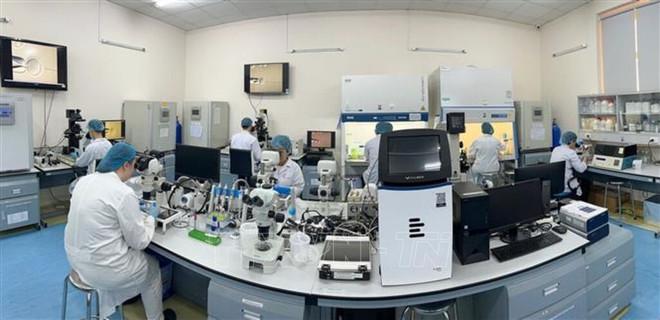 胡志明市国家大学国际大学生物技术实验室。图自越通社 ho-chi-minh-trung-tam-dao-tao-nhan-luc-hang-dau-ca-nuoc-7986676.jpg