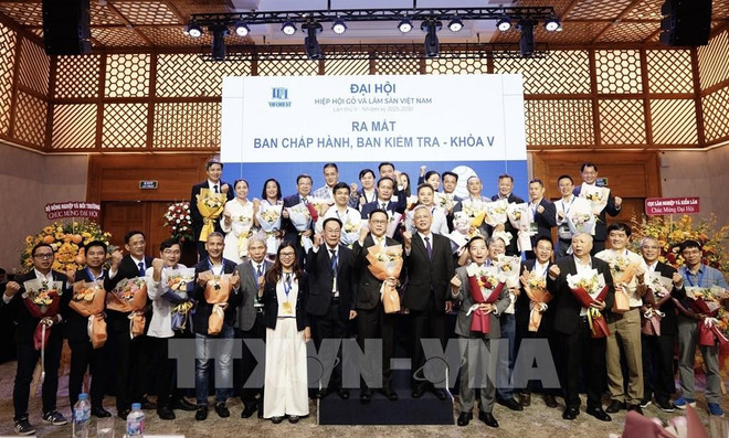 202427-dai-hoi-hiep-hoi-go-va-lam-san-viet-nam-nhiem-ky-2025-2030.jpg