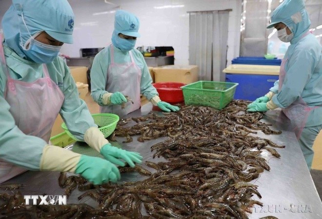 2024年越埃双边贸易总额达4.726亿美元,同比增长9.4%。图自越通社 hop-tac-viet-nam-ai-cap-phat-4.jpg