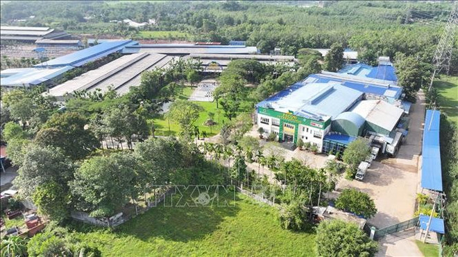 西宁领先企业普遍采用“从农场到餐桌”全链条模式。图自越通社 tay-ninh-16625-12.jpg