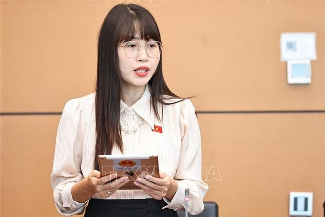 宁平省国会代表陈氏琼发表讲话。图自越通社 dai-bieu.jpg