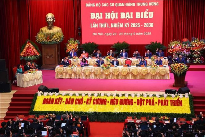 会议现场。图自越通社 dai-bieu.jpg