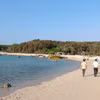 考察团在距富贵特区东南方向约0.5海里的争岛（Hòn Tranh）调研、检查各旅游点。图片来源：越通社