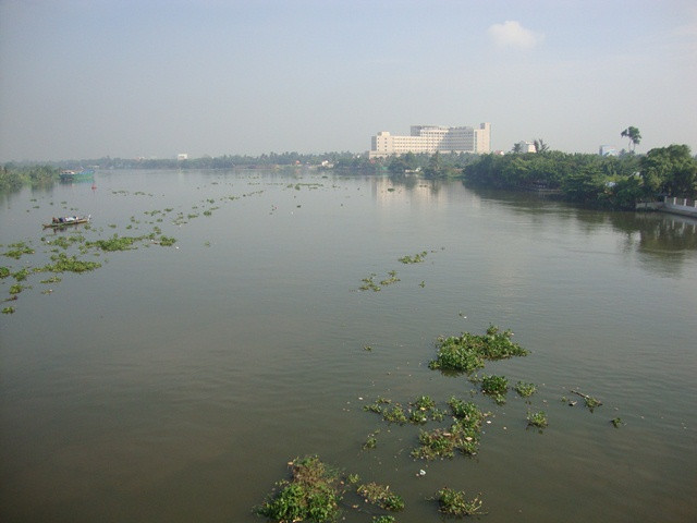 越南各省市携手保护同奈河流域生态环境 ảnh 1 越南各省市携手保护同奈河流域生态环境 ảnh 1