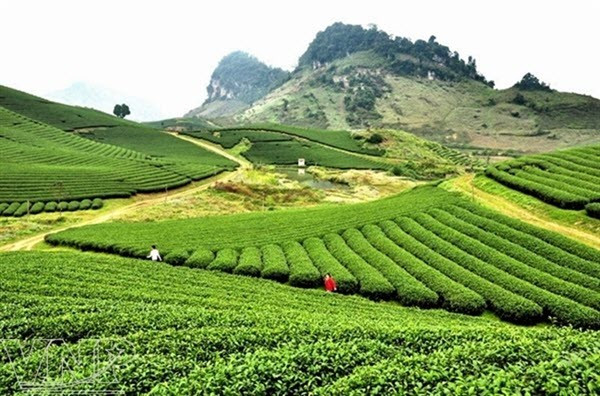 木州大力推进社区旅游发展 ảnh 1