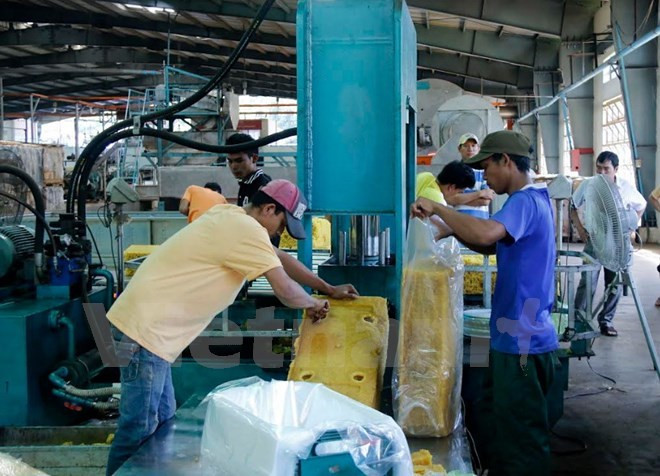 越老建交55周年:越南企业帮助老挝各地方实现减贫 ảnh 2 越老建交55周年:越南企业帮助老挝各地方实现减贫 ảnh 2