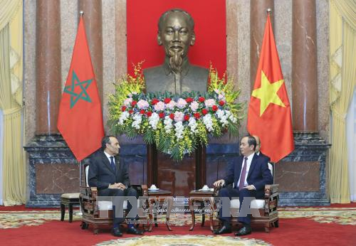 越南国家主席陈大光会见摩洛哥众议院议长哈比博·马勒克 ảnh 1