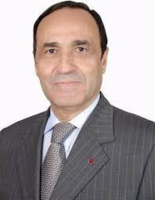 摩洛哥众议院议长哈比博·马勒克即将对越南进行正式访问 ảnh 1