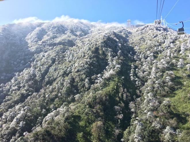 大雪覆盖番西邦峰 许多牲畜被冻死 ảnh 2 大雪覆盖番西邦峰 许多牲畜被冻死 ảnh 2