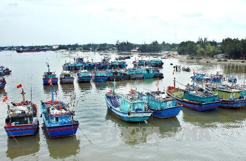 越南海岛:推动海洋经济发展与保障国防安全相结合 ảnh 1 越南海岛:推动海洋经济发展与保障国防安全相结合 ảnh 1