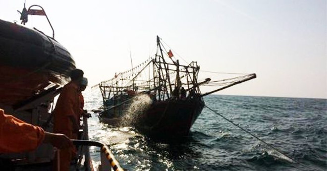 巴地头顿省：将海上受伤的海外水手安全送上岸救治 ảnh 1