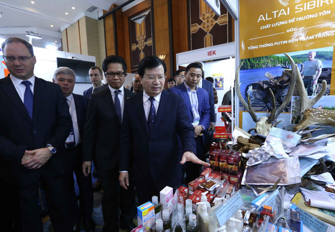 越南政府副总理郑廷勇:政府为越俄企业合作提供便利 ảnh 2 越南政府副总理郑廷勇:政府为越俄企业合作提供便利 ảnh 2