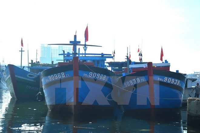 越南海岛:推动海洋经济发展与保障国防安全相结合 ảnh 2 越南海岛:推动海洋经济发展与保障国防安全相结合 ảnh 2