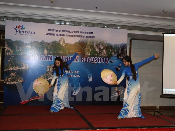 越南在印度加大旅游形象推广力度 ảnh 2 越南在印度加大旅游形象推广力度 ảnh 2