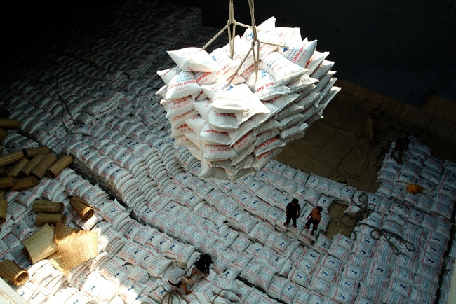 自由贸易协定生效后越南与欧盟的展望 ảnh 4