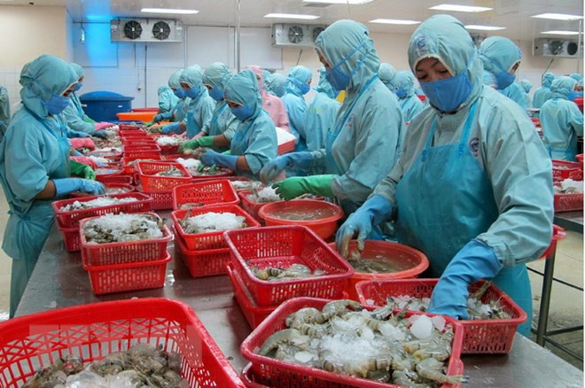 坚江省出口超额完成任务 成绩喜人 ảnh 1 坚江省出口超额完成任务 成绩喜人 ảnh 1