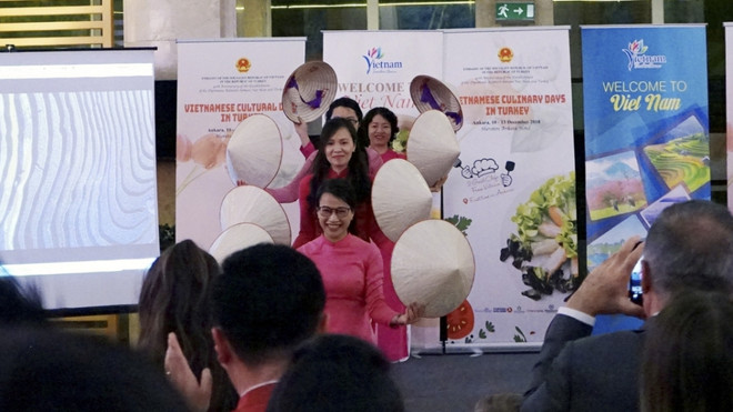 土耳其越南文化日活动举行 庆祝越土建交40周年 ảnh 2 土耳其越南文化日活动举行 庆祝越土建交40周年 ảnh 2