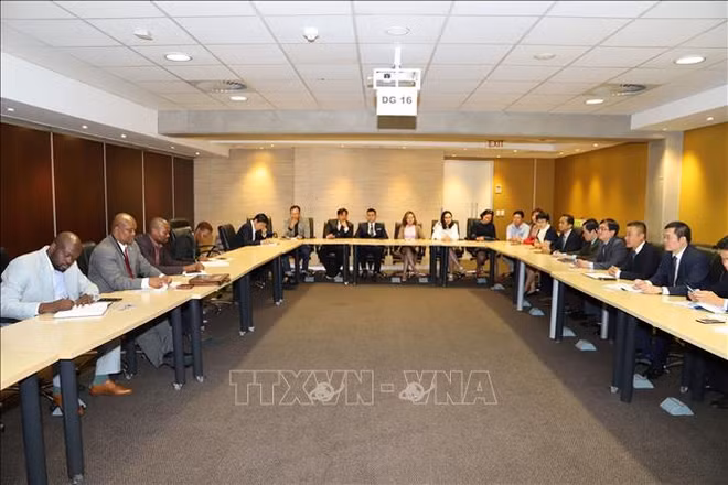 南非——越南大米进军非洲市场的窗口 ảnh 1 南非——越南大米进军非洲市场的窗口 ảnh 1