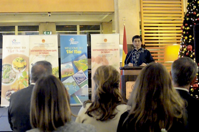 土耳其越南文化日活动举行 庆祝越土建交40周年 ảnh 1 土耳其越南文化日活动举行 庆祝越土建交40周年 ảnh 1