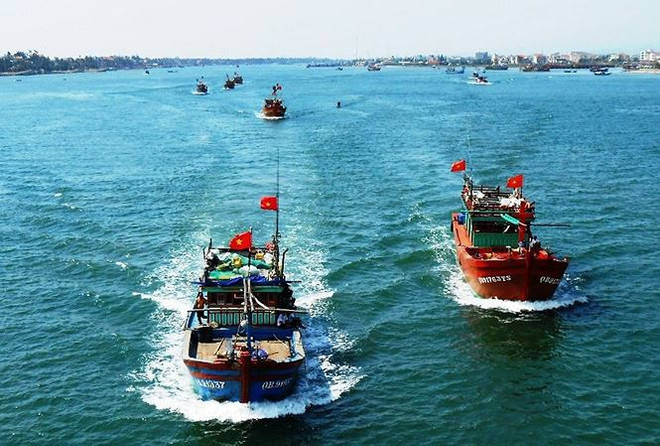 消除越南渔业“黄牌”警告:打造负责任渔业的良机 ảnh 1 消除越南渔业“黄牌”警告:打造负责任渔业的良机 ảnh 1