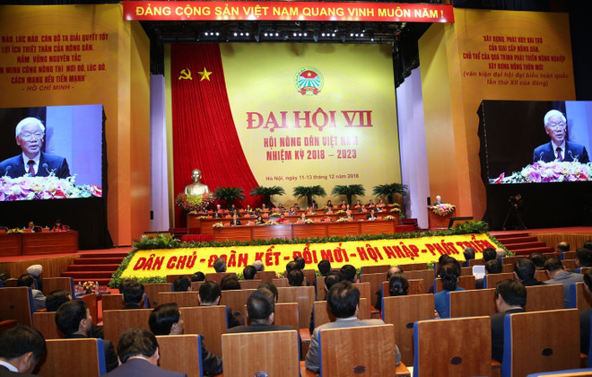 越通社简讯2018.12.12 ảnh 1