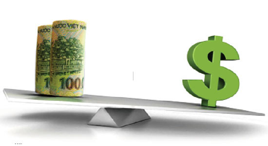 12日越盾兑美元中心汇率保持稳定 ảnh 1 12日越盾兑美元中心汇率保持稳定 ảnh 1