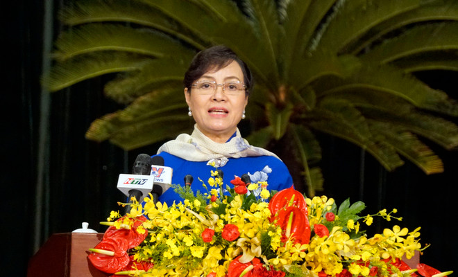 胡志明市继续多措并举 有效实施2019年各项目标任务 ảnh 2