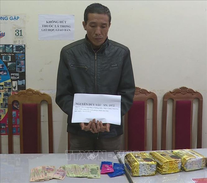 越南山萝省连续破获两起非法贩运毒品案 ảnh 1