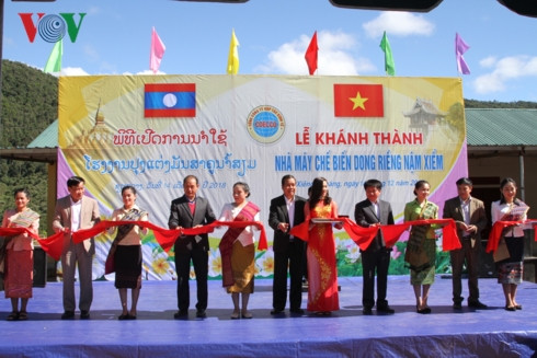 越企投建的南仙芭蕉芋淀粉厂在老挝川圹省正式落成 ảnh 1 越企投建的南仙芭蕉芋淀粉厂在老挝川圹省正式落成 ảnh 1