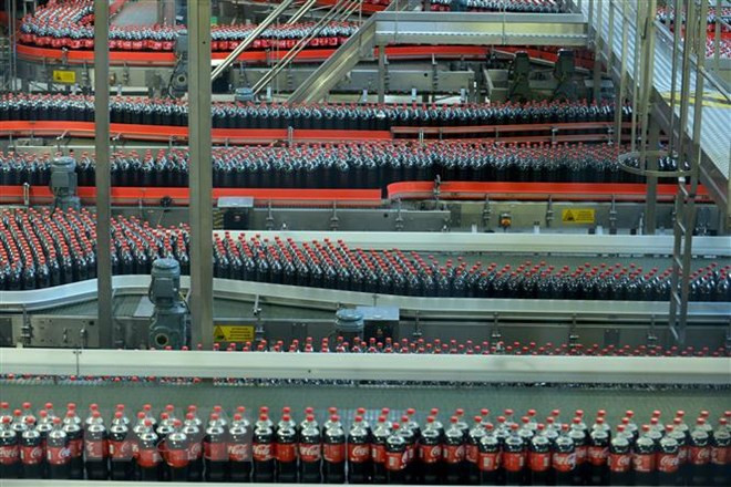 越南国会副主席冯国显会见可口可乐(越南)饮料公司首席执行官 ảnh 1