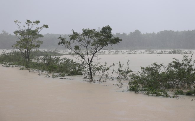 越通社一周要闻回顾(2018.12.10-2018.12.16) ảnh 4 越通社一周要闻回顾(2018.12.10-2018.12.16) ảnh 4