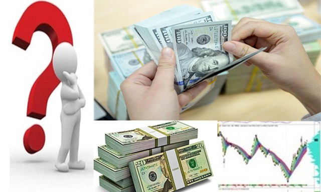 12月19日越盾兑美元汇率较为稳定 ảnh 1