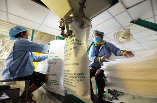 越南大米加强在国际市场上的品牌塑造 ảnh 1