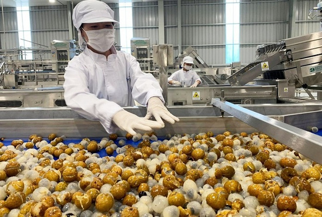 越南力争到2030年成为全球10大水产品加工中心 ảnh 1 越南力争到2030年成为全球10大水产品加工中心 ảnh 1