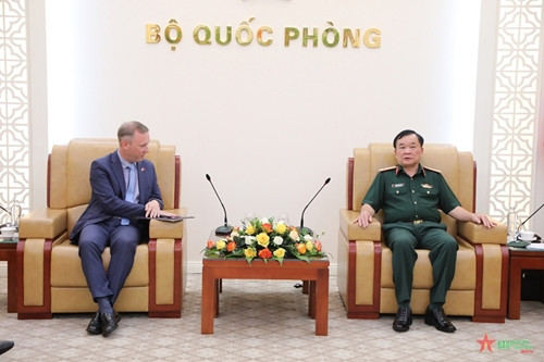 有效开展越英防务合作 ảnh 1