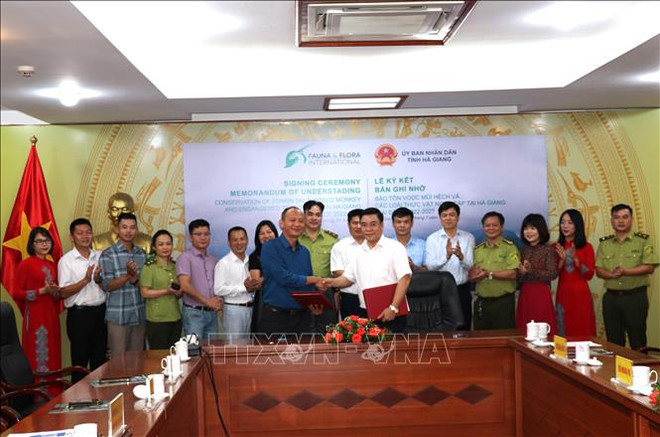 着力保护越南特有灵长类动物 ảnh 1 着力保护越南特有灵长类动物 ảnh 1