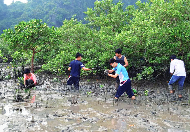 芹苴市与澳大利亚加强环保、农业和可再生能源领域的合作 ảnh 1 芹苴市与澳大利亚加强环保、农业和可再生能源领域的合作 ảnh 1