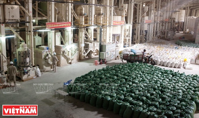 今日同塔梅 ảnh 15