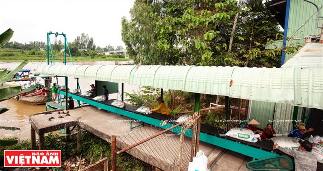 今日同塔梅 ảnh 14