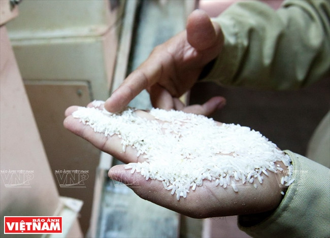 今日同塔梅 ảnh 18